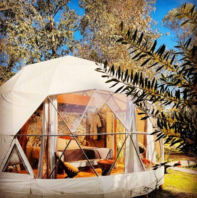 Magia Ecolodges, Glamping Punta Colorada Buitenkant foto