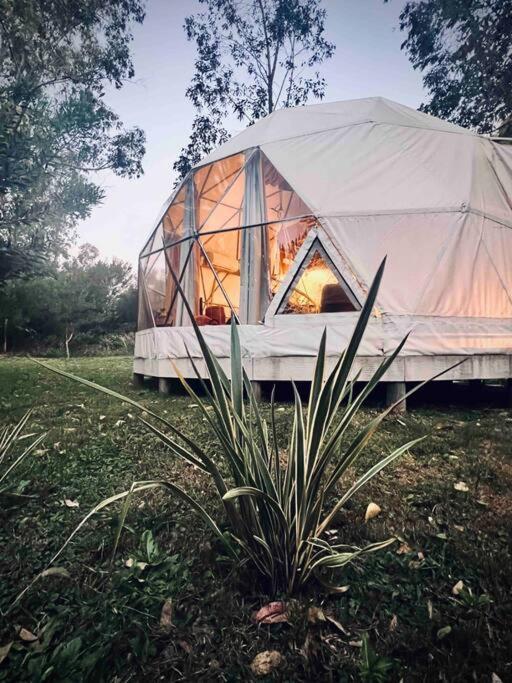 Magia Ecolodges, Glamping Punta Colorada Buitenkant foto